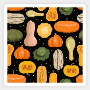 Squash and Pumpkin Sticker